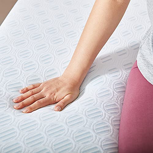 Sleep Innovations Shiloh Medium Memory Foam Mattress, 14 Inches, Queen & Premium Shredded Gel Memory Foam Pillows, Queen (Pack of 2)