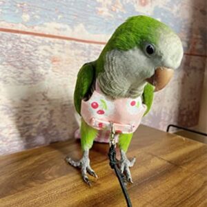 Bird Flight Harness Vest, Parrot Flight Suit for Cockatiels Conures Budgies, Bird Flying Clothes for Outdoor Activities Training