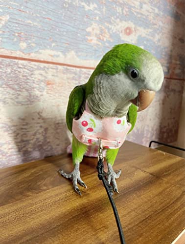 Bird Flight Harness Vest, Parrot Flight Suit for Cockatiels Conures Budgies, Bird Flying Clothes for Outdoor Activities Training