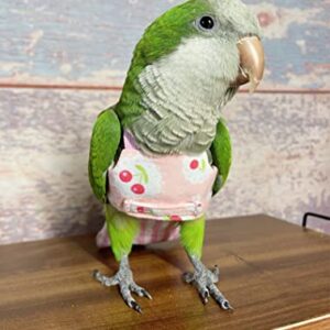 Bird Flight Harness Vest, Parrot Flight Suit for Cockatiels Conures Budgies, Bird Flying Clothes for Outdoor Activities Training