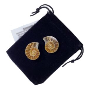 ammonite fossil polished shell pair (madagascar) with velvet gift bag