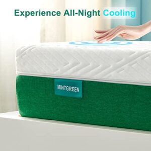 mintgreen Full Size Mattress 8 Inch Ge Memory Foam Mattress in a Box, Premium Bed Mattress with Breathable Soft Cover - Medium Firm Feel-Ventilated Design & CertiPUR-US Certified Foam Full Mattress