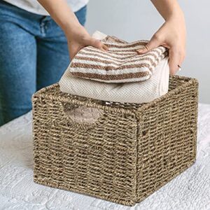 Seagrass Storage Baskets with Labels, 10.5x9x7.5in Wicker Storage Basket, Storage Baskets for Shelves Set of 3, Pantry Baskets Organization,Kitchen Storage Baskets, Bathroom Shelves Storage Basket