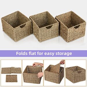 Seagrass Storage Baskets with Labels, 10.5x9x7.5in Wicker Storage Basket, Storage Baskets for Shelves Set of 3, Pantry Baskets Organization,Kitchen Storage Baskets, Bathroom Shelves Storage Basket