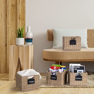 Seagrass Storage Baskets with Labels, 10.5x9x7.5in Wicker Storage Basket, Storage Baskets for Shelves Set of 3, Pantry Baskets Organization,Kitchen Storage Baskets, Bathroom Shelves Storage Basket