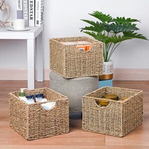 Seagrass Storage Baskets with Labels, 10.5x9x7.5in Wicker Storage Basket, Storage Baskets for Shelves Set of 3, Pantry Baskets Organization,Kitchen Storage Baskets, Bathroom Shelves Storage Basket