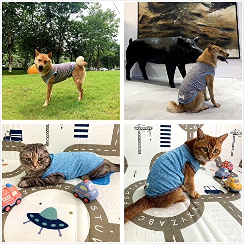 DAJIDALI Dog and Cat Shirt in Tech Fabric with Luminous Print, Pet Clothes for Large, Medium, and Small Dogs, 2-Pack of Lightweight Functional t-Shirts