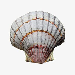 seashell shape pillow decorative cushion for sofa chair couch bed