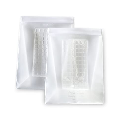 Prepara 1 Gallon Reusable, set of 2 Food Storage Bags, clear