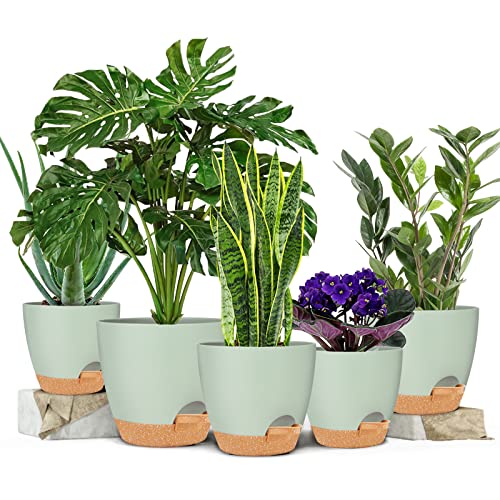 GARDIFE Plant Pots 7/6.5/6/5.5/5 Inch Self Watering Planters with Drainage Hole, Plastic Flower Pots, Planters for Indoor Plants, Succulents,Snake Plant, African Violet, Flowers,Green