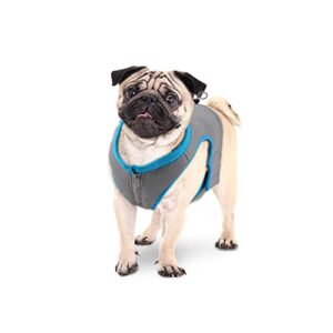 ALL FOR PAWS Cooling Vest Dog Cooling Shirts Breathable Instant Cooling Dogs Vest Lightweight for Summer Dog Clothes (M)