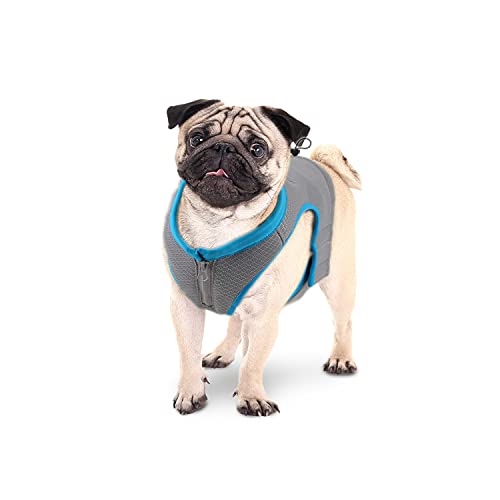 ALL FOR PAWS Cooling Vest Dog Cooling Shirts Breathable Instant Cooling Dogs Vest Lightweight for Summer Dog Clothes (M)