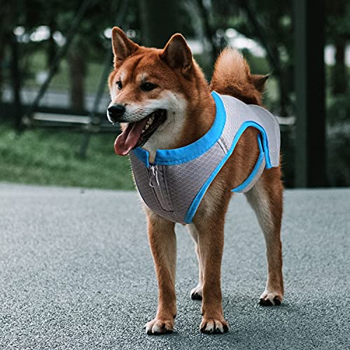 ALL FOR PAWS Cooling Vest Dog Cooling Shirts Breathable Instant Cooling Dogs Vest Lightweight for Summer Dog Clothes (M)