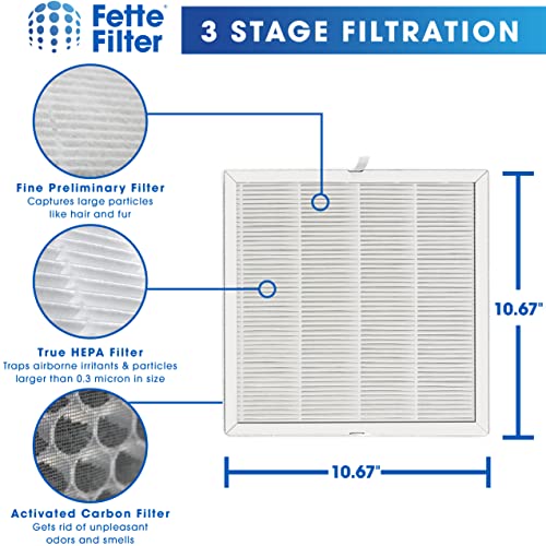 Fette Filter - E-300L True HEPA H13 Replacement Filter Compatible with MOOKA and MOOKA FAMILY E-300L Air Purifiers - Pack of 2