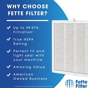 Fette Filter - E-300L True HEPA H13 Replacement Filter Compatible with MOOKA and MOOKA FAMILY E-300L Air Purifiers - Pack of 2