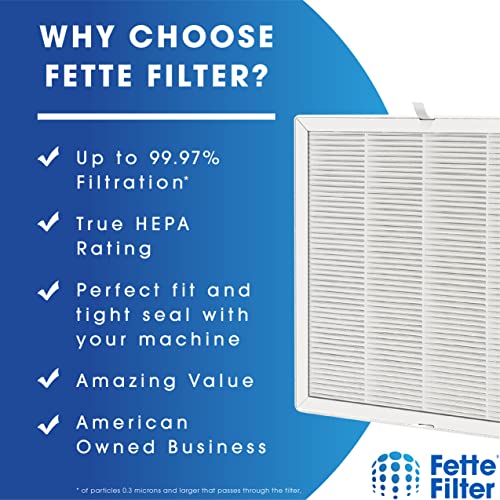 Fette Filter - E-300L True HEPA H13 Replacement Filter Compatible with MOOKA and MOOKA FAMILY E-300L Air Purifiers - Pack of 2