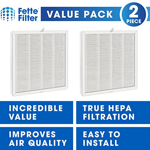 Fette Filter - E-300L True HEPA H13 Replacement Filter Compatible with MOOKA and MOOKA FAMILY E-300L Air Purifiers - Pack of 2