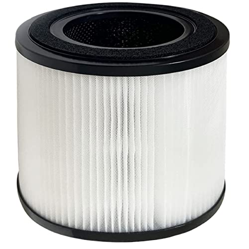 Fette Filter - Filter Compatible with BISSELL MYair Pro Hub and Plus Air Purifier Replacement HEPA and Carbon Filter Part # 3069 and 3389 - Pack of 2