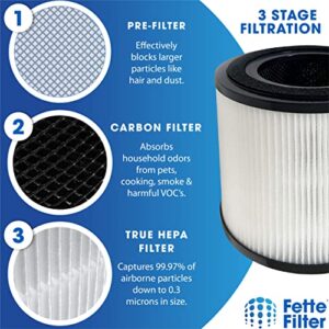 Fette Filter - Filter Compatible with BISSELL MYair Pro Hub and Plus Air Purifier Replacement HEPA and Carbon Filter Part # 3069 and 3389 - Pack of 2