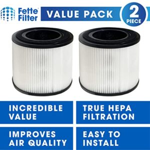 Fette Filter - Filter Compatible with BISSELL MYair Pro Hub and Plus Air Purifier Replacement HEPA and Carbon Filter Part # 3069 and 3389 - Pack of 2