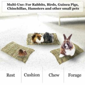 TEAFIRST Animal Hamster Grass Chew Mat Breakers Toy Pet Rabbit Rat Guinea Pig House Pad (Large)
