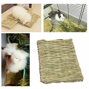 TEAFIRST Animal Hamster Grass Chew Mat Breakers Toy Pet Rabbit Rat Guinea Pig House Pad (Large)