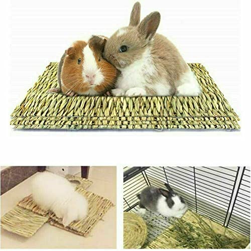 TEAFIRST Animal Hamster Grass Chew Mat Breakers Toy Pet Rabbit Rat Guinea Pig House Pad (Large)