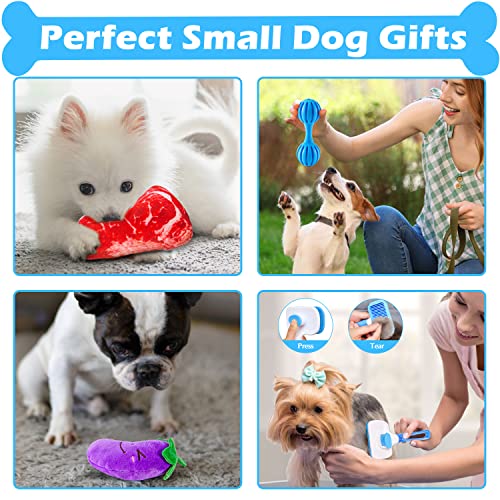 Heibizi Puppy Toys for Teething Small Dogs, Dog Toys for Small Dogs, Puppy Teething Chew Toys, Small Dog Toys Pack with Stuffed Squeaky Toys, Dog Ball, Ring Toy, Rope Toy