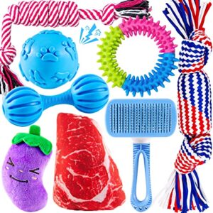 Heibizi Puppy Toys for Teething Small Dogs, Dog Toys for Small Dogs, Puppy Teething Chew Toys, Small Dog Toys Pack with Stuffed Squeaky Toys, Dog Ball, Ring Toy, Rope Toy