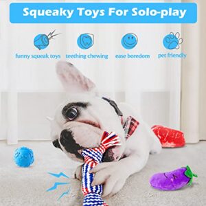 Heibizi Puppy Toys for Teething Small Dogs, Dog Toys for Small Dogs, Puppy Teething Chew Toys, Small Dog Toys Pack with Stuffed Squeaky Toys, Dog Ball, Ring Toy, Rope Toy