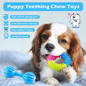 Heibizi Puppy Toys for Teething Small Dogs, Dog Toys for Small Dogs, Puppy Teething Chew Toys, Small Dog Toys Pack with Stuffed Squeaky Toys, Dog Ball, Ring Toy, Rope Toy