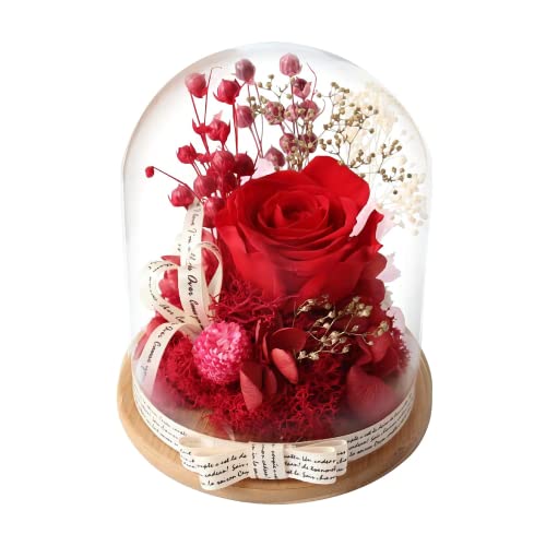 HENJADE Artificial Flower Rose Gift Decorations Beauty Rose Flowers, Rose Glass Dome, Red Forever Rose, Flower in Glass Dome, for Her Unique Gifts for Mom Valentine Christmas(Red)