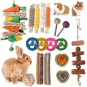smangy rabbit chew toys 19pcs,bunny toys for rabbits,natural timothy hay sticks for teeth,handmade chew treats and balls for bunny, chinchilla,bunny teeth care
