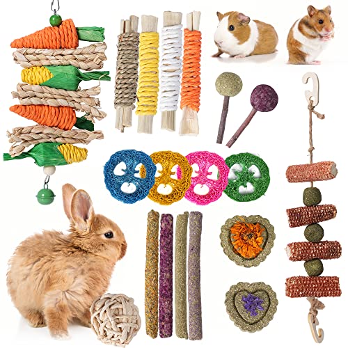 SMANGY Rabbit Chew Toys 19pcs,Bunny Toys for Rabbits,Natural Timothy Hay Sticks for Teeth,Handmade Chew Treats and Balls for Bunny, Chinchilla,Bunny Teeth Care