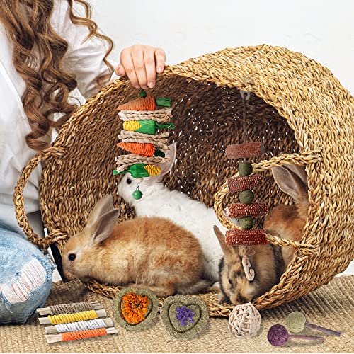 SMANGY Rabbit Chew Toys 19pcs,Bunny Toys for Rabbits,Natural Timothy Hay Sticks for Teeth,Handmade Chew Treats and Balls for Bunny, Chinchilla,Bunny Teeth Care