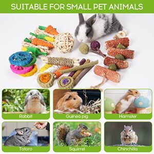 SMANGY Rabbit Chew Toys 19pcs,Bunny Toys for Rabbits,Natural Timothy Hay Sticks for Teeth,Handmade Chew Treats and Balls for Bunny, Chinchilla,Bunny Teeth Care