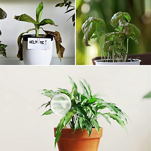 AOPANDA Plant Watering Globes, Self Watering Flower Pot Insert, Plastic Self Watering Bulbs, Large Capacity, for Indoor and Outdoor Plants, 9pcs.