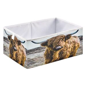 Kigai Cool Highland Cow Storage Bin Closet Organizers Collapsible Toy Storage Rectangular for Home Organization Shelf Store Bins Container, 15.7" x 11" x 7"