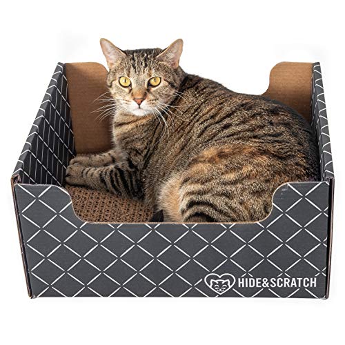 Hide & Scratch: Extra-Large Heavy Duty Cardboard Cat Scratcher and Lounger Box with Refillable Scratch Pad - Multiple Colors