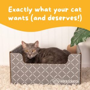 Hide & Scratch: Extra-Large Heavy Duty Cardboard Cat Scratcher and Lounger Box with Refillable Scratch Pad - Multiple Colors