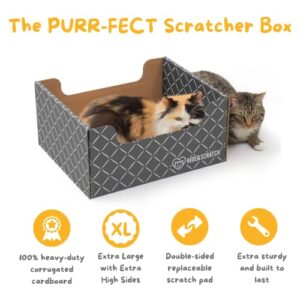 Hide & Scratch: Extra-Large Heavy Duty Cardboard Cat Scratcher and Lounger Box with Refillable Scratch Pad - Multiple Colors