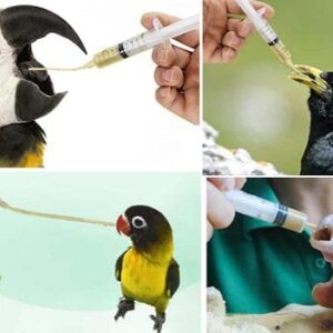 Puppy Kitten Feeding Tube Kit Includes Reusable Feeding Tube 20 Ml Syringe (6 FR),Newborn Birds Feeding Syringe, Small Animals or Sick Pet Feeding Tool for Parrot Baby Bird (2 Packs)