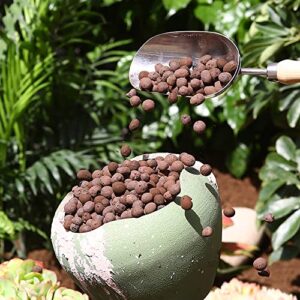 Expanded Clay Pebbles 1 qt, 8mm-14mm Clay Balls for Plants, Organic Plant Grow Media, Porous Stones for Hydroponics, Drainage, Decoration, Aquaponics, and Other Gardening Essentials