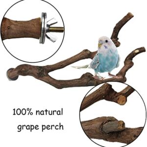 kathson Natural Parrot Perch Bird Stand Pole Wild Grape Stick Paw Grinding Fork Parakeet Climbing Standing Branches Toy Chewable Cage Accessories for Small Budgies Cockatiels Lovebirds 4PCS