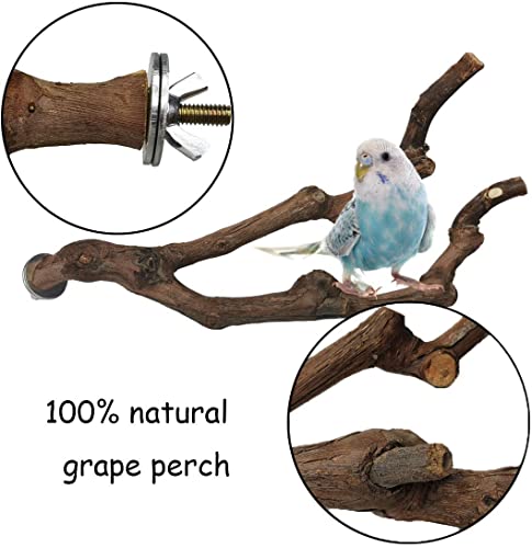 kathson Natural Parrot Perch Bird Stand Pole Wild Grape Stick Paw Grinding Fork Parakeet Climbing Standing Branches Toy Chewable Cage Accessories for Small Budgies Cockatiels Lovebirds 4PCS