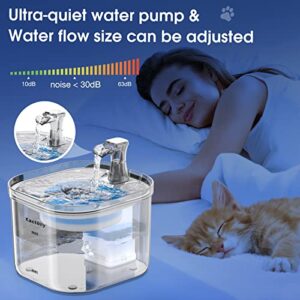 Kactoily Water Fountain for Cats Inside Pet Fountain Cat Water Dispenser Automatic 61oz/1.8L Ultra-Quiet Cat Drinking Fountains(USB Adapter, Brush, Cloth, 2*Filter)