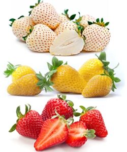 800+ strawberry seeds 400 white 300 red and 100 yellow strawberry seeds mixed for planting