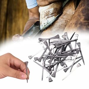 lukar 250pcs E5 Horseshoe Nails 2 Inch Stainless Steel Horse Shoe Nails Horse Hoof Nails