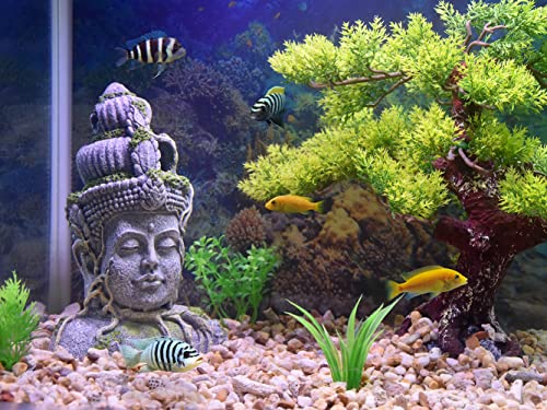 PTFJZ Aquarium Decorations Fish Tank Buddha Decor Suitable for Betta Cichlids Hide Rest Lizard Turtle Reptile Decoration Create an Exotic Zen Fish Tank Decorations