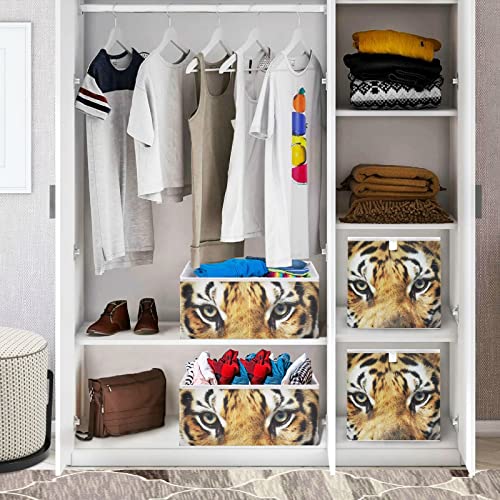 xigua Tiger Cube Storage Bin Large Collapsible Storage Basket Toys Clothes Organizer Box for Shelf Closet Bedroom Home Office, 11 x 11 x 11 Inch